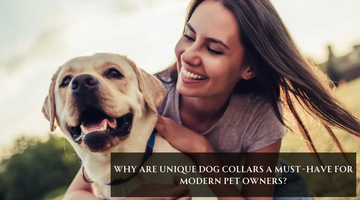Why are Unique Dog Collars a must-have for Modern Pet Owners?