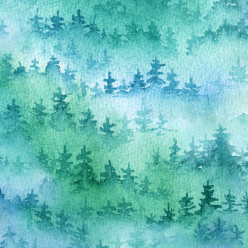 Foggy Morning Collection