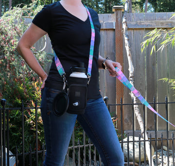 Accessories to Match Your Dog