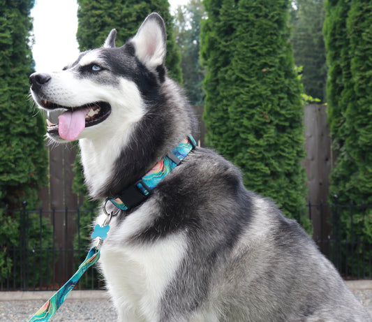 Arctic Cosmos Collar