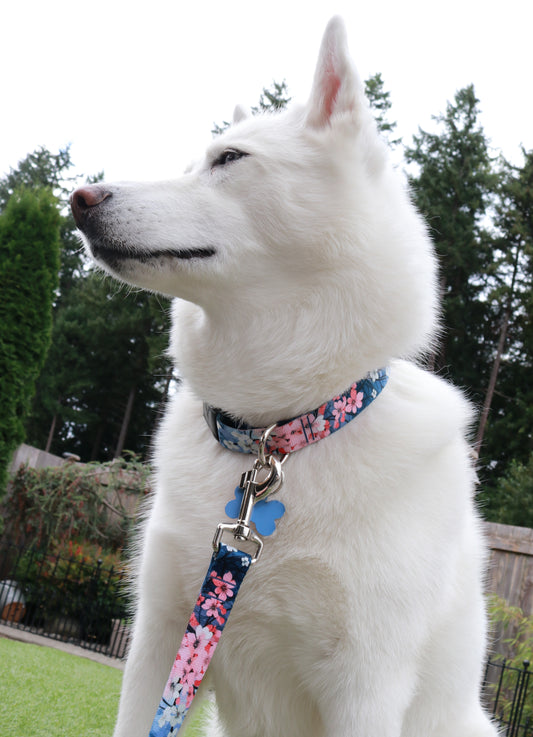 Cherry Blossom Dreams Collar
