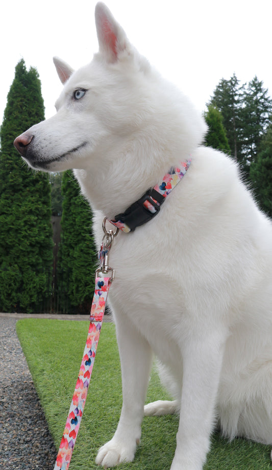Dancing Hearts Collar