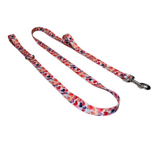 Dancing Hearts Double Handle Leash