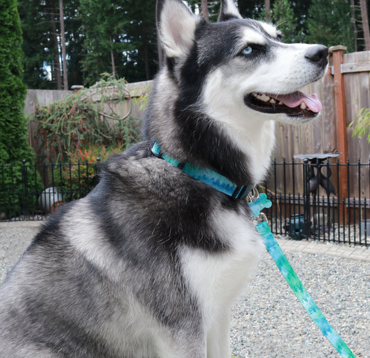 Foggy Morning Collar