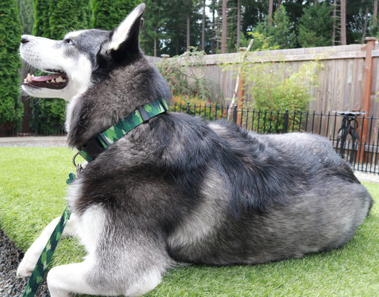 Green Camo Trees Collar