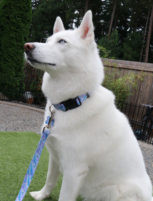 Pastel Storm Collar