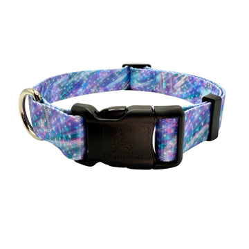 Dog collar with a colorful pattern 