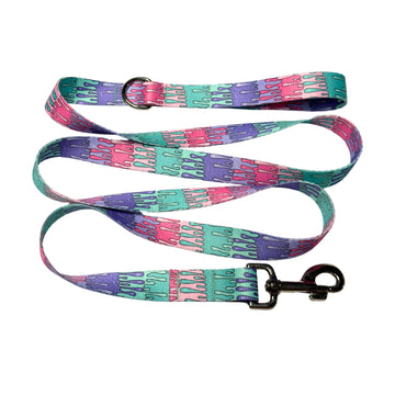 Colorful dog leash with a pattern 