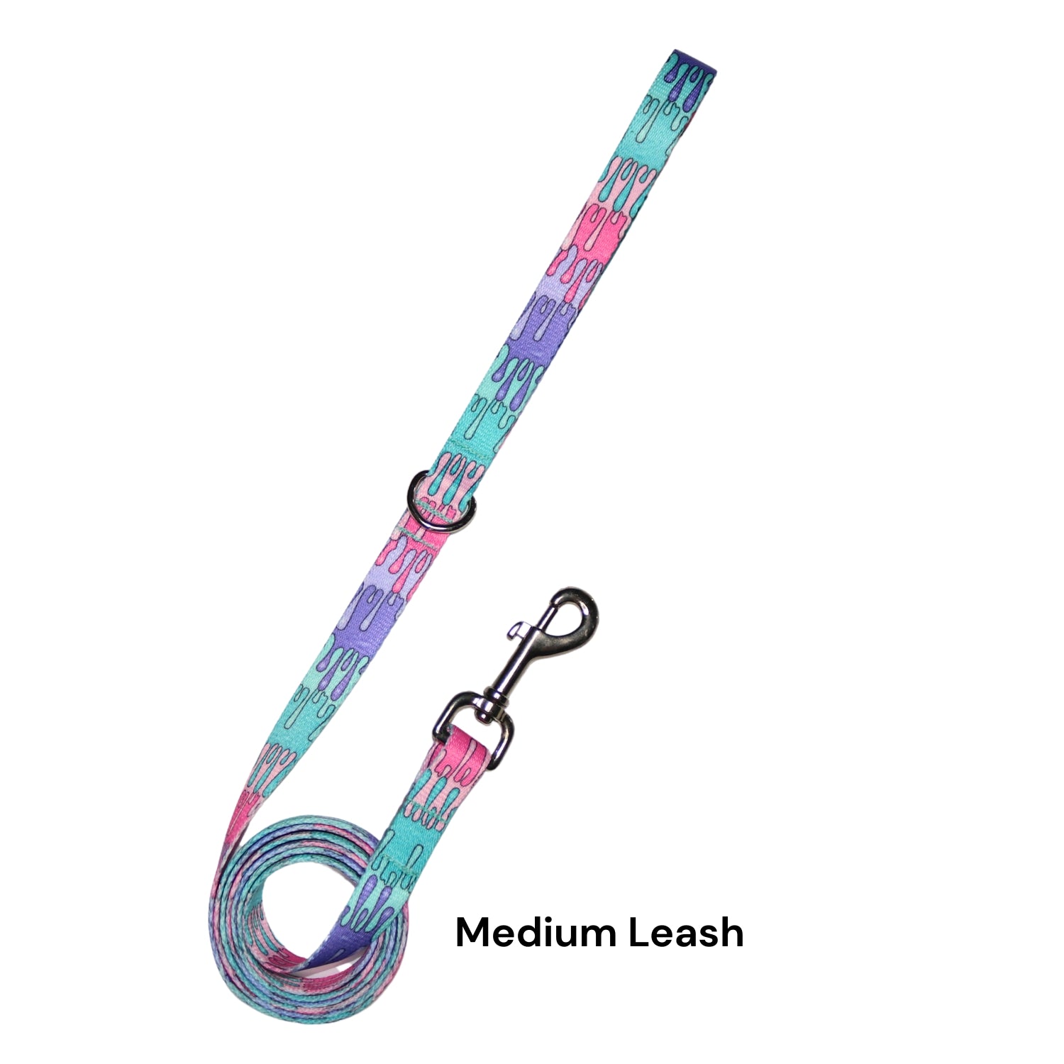 Colorful dog leash with a clip 