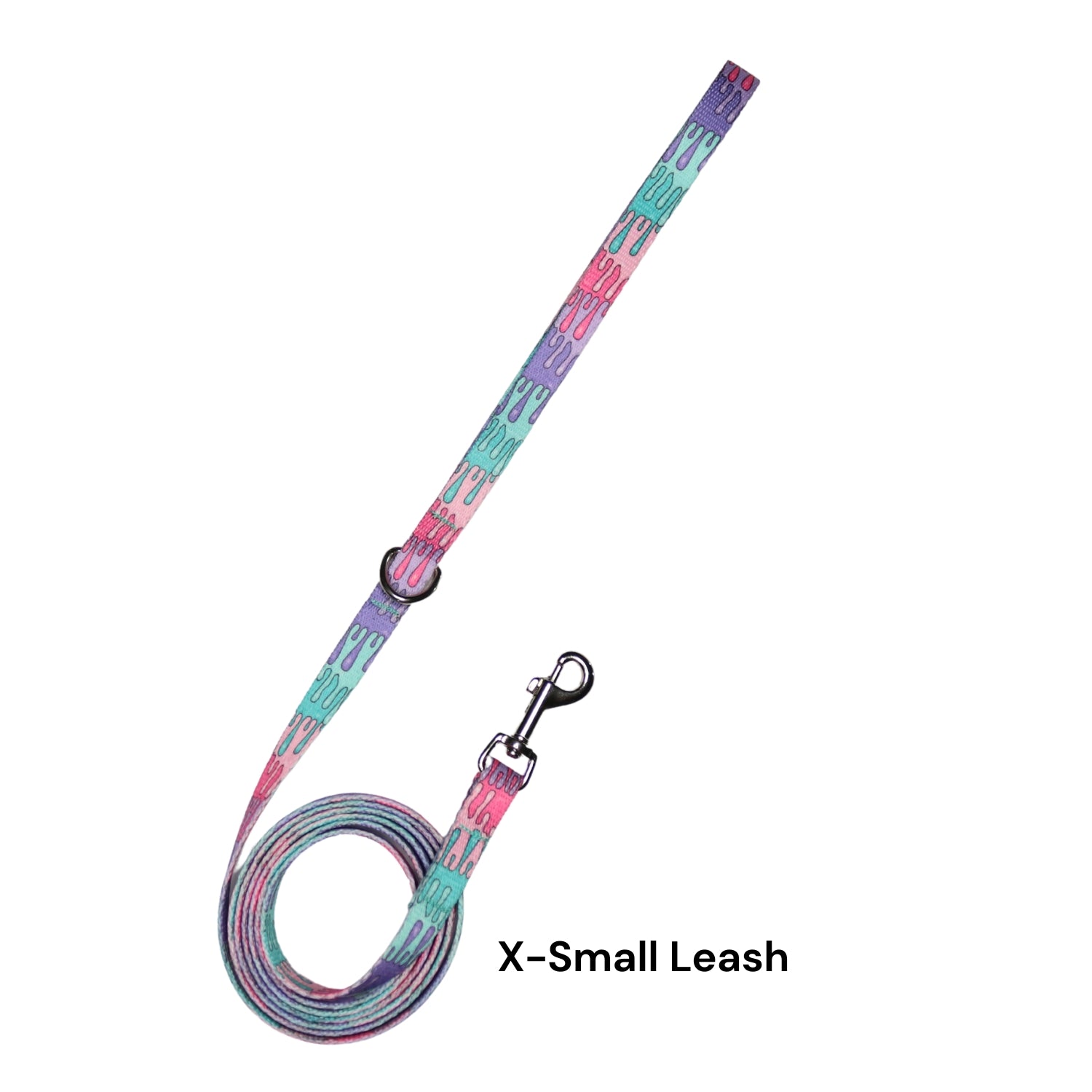 Colorful dog leash with a clip 