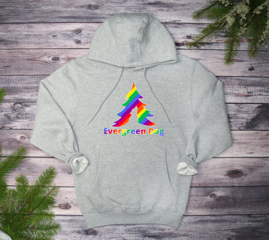 Pride Rainbow Midweight Pull-Over Hoodie