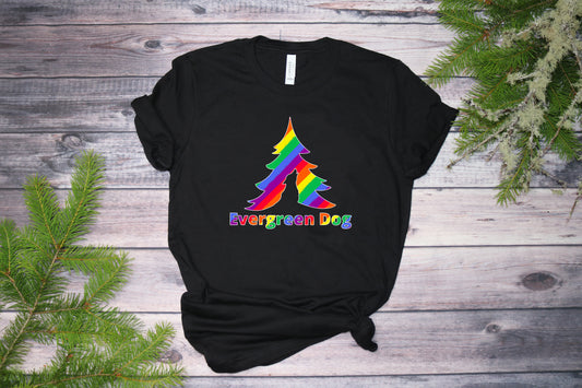 Pride Rainbow T-Shirt