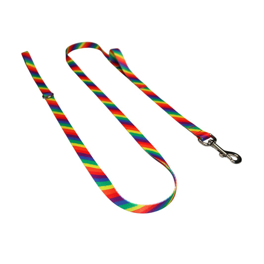 Pride Rainbow Double Handle Leash