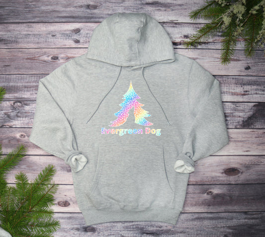 Rainbow Leopard Midweight Pull-Over Hoodie