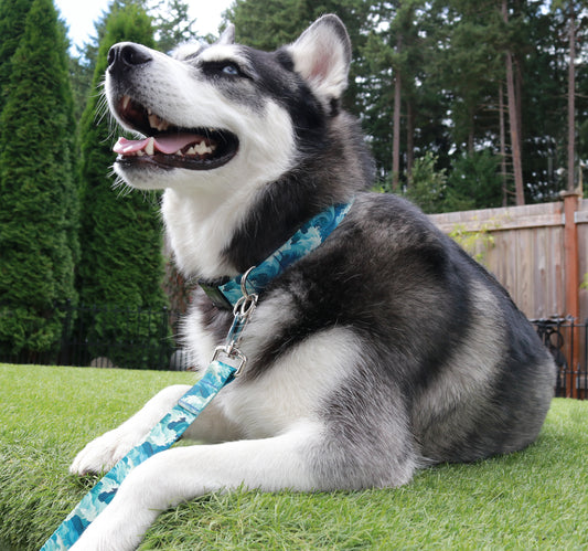 Sublime Waves Collar