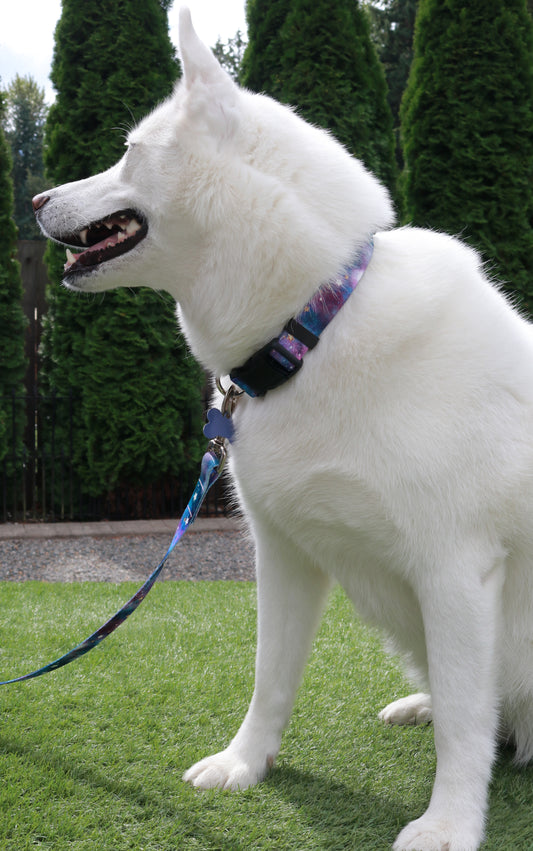 Twilight Galaxy Collar